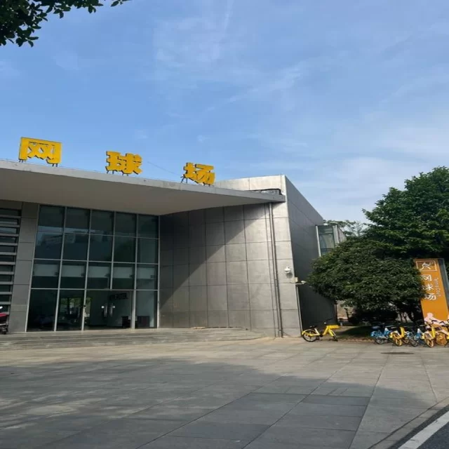乒乓球冠军竞争格局的新动态与数据分析视角